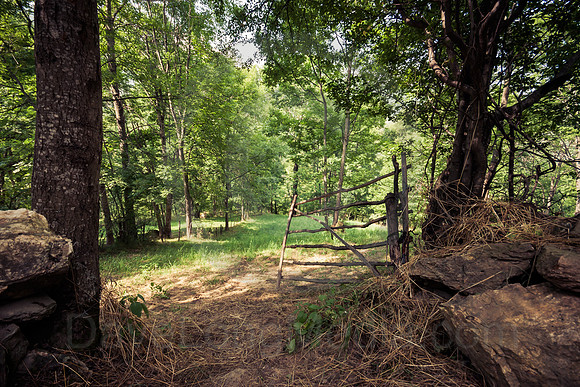 Rustic Gate