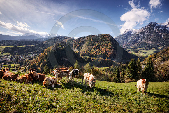 Austrian Alps