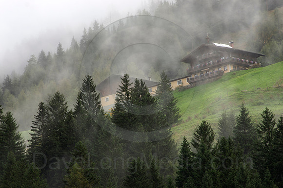 Alpine Home