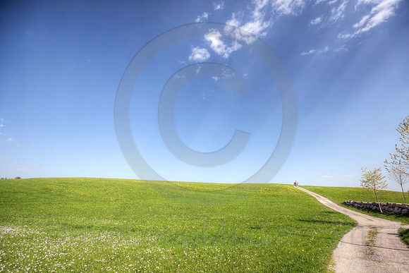 Sun Rays on a Grassy Landscape