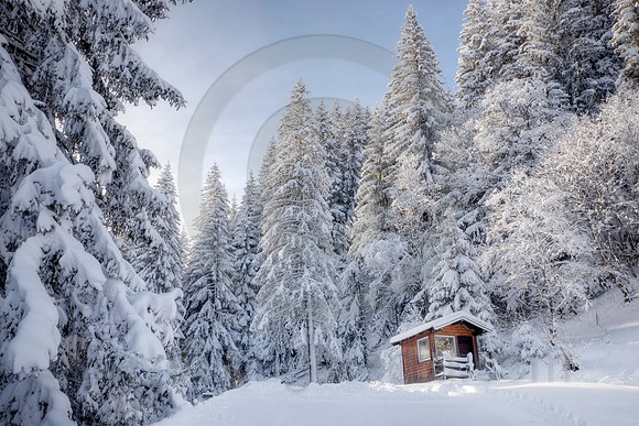 Cabin in a Winter Forest