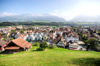 Swiss Village