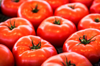 Fresh Tomatoes at the Market