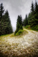 Windy Mountain Road