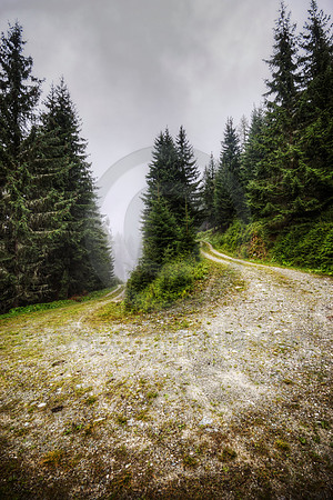 Windy Mountain Road