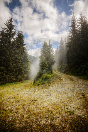 Mountain Road Curve