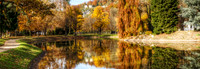 Autumn Reflections