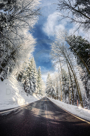 Wintery Mountain Road