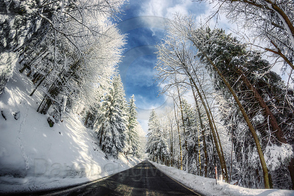 Wintery Mountain Road