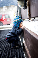 Toddler's Delight