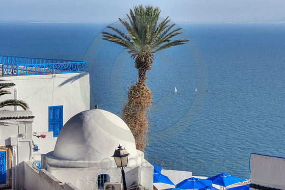 Tropical Tunisia