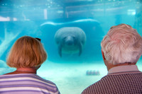 Senior Couple at Aquarium
