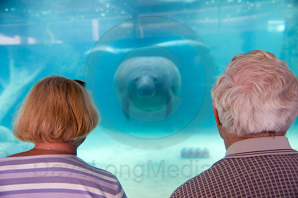 Senior Couple at Aquarium
