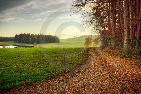 Autumn Farmland Scenic
