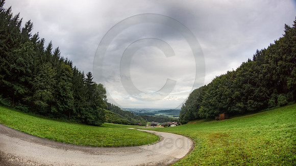 Winding Country Road