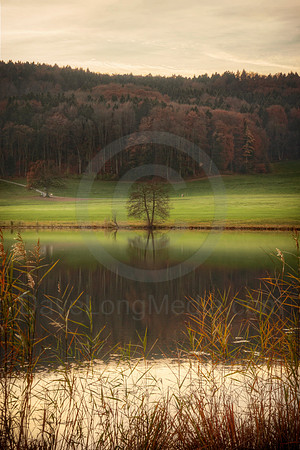 Autumn Balance