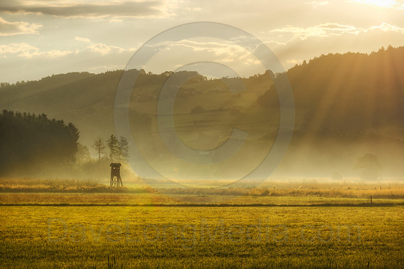 Glorious Morning in the Country