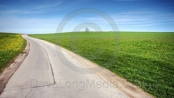 Country Road Landscape