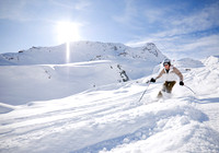 Skiier in Powder Snow