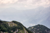 Alpine Valley with Wildlife