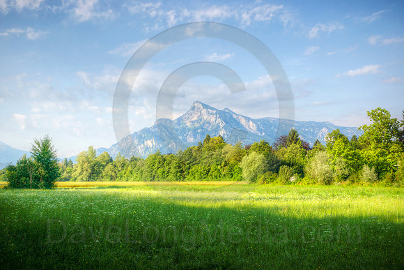 Morning in the Alps