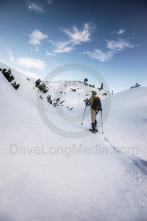 Seeking Peace and Quiet High in the Alps