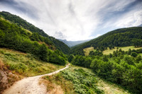 Country Road in the Mountains