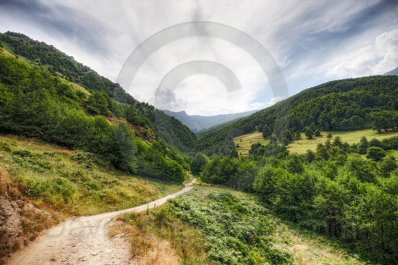 Country Road in the Mountains