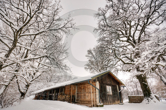 Rustic Winter