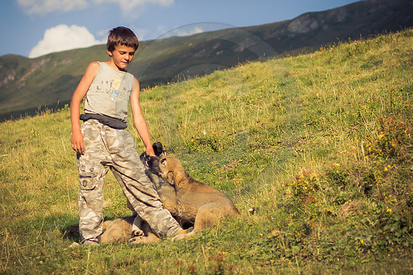 Bosniak boy with Šarplaninac pup