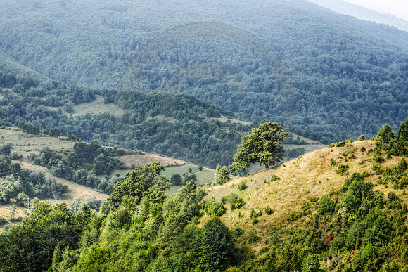Balkan Landscape