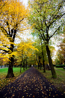 Idyllic Autumn