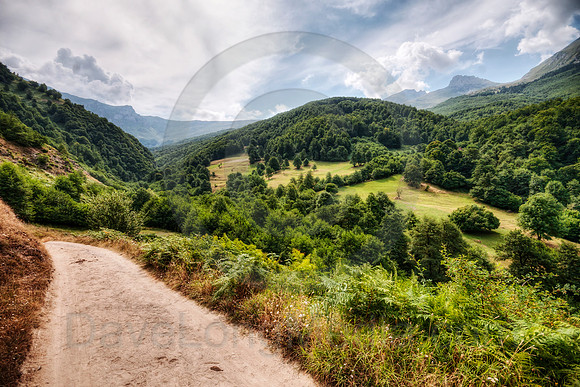 Country Road in the Mountains