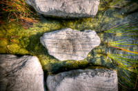 Stepping Stone
