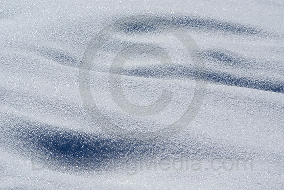 Fresh Snow