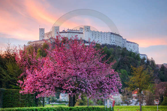Springtime in Europe