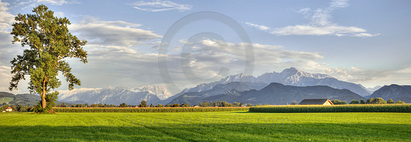 Farm in the Alps