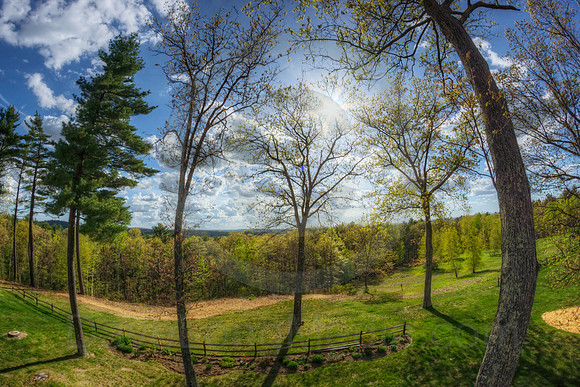 Fish Eye Landscape