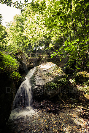 Bridge over Forest Waterfall