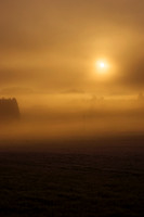 Misty Sunrise