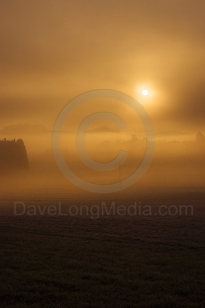 Misty Sunrise