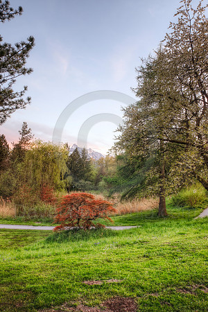 Spring Landscape