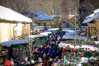 Christmas Market in Europe