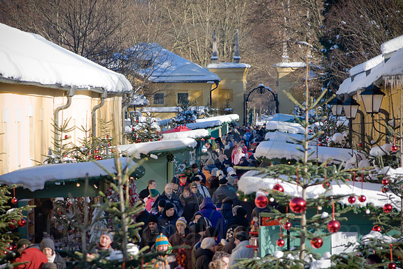 Christmas Market in Europe