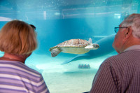 Senior Couple at Aquarium