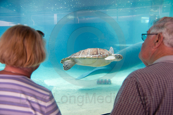 Senior Couple at Aquarium