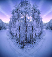 Magical Winter