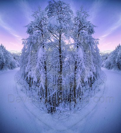 Magical Winter