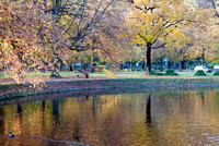 Autumn in the Park