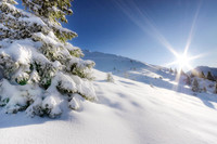 Powder Snow Paradise